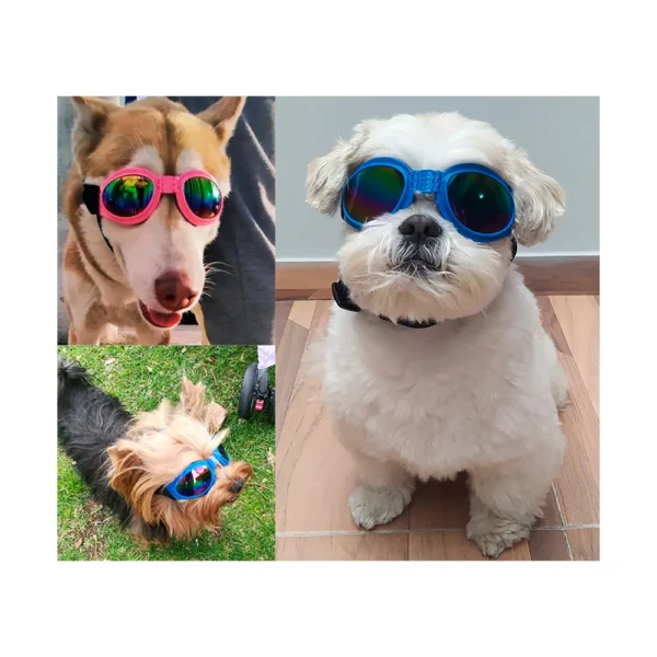 Gafas Oscuras Para Mascotas - Imagen 4